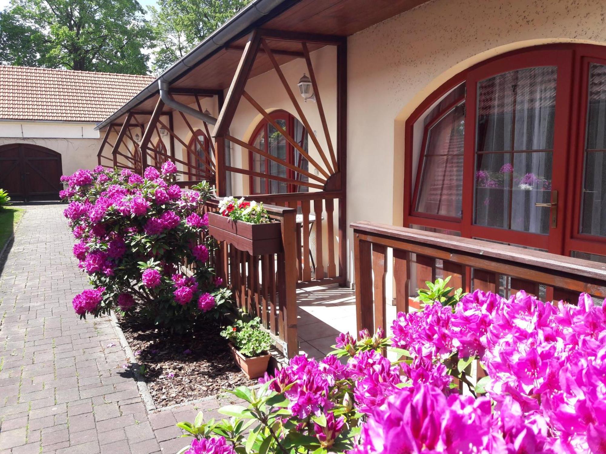 Hotel Fogl Nová Bystřice Exterior foto